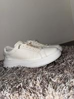 Calvin Klein, Kleding | Heren, Schoenen, Ophalen, Calvin Klein, Wit, Zo goed als nieuw