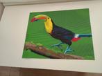 Diamond painting papegaai, Antiek en Kunst, Ophalen of Verzenden