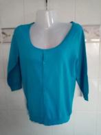 Zara : nieuw blauw gilet vest cardigan 2/3 mouwen , mt L, Enlèvement ou Envoi, Zara, Bleu, Taille 42/44 (L)