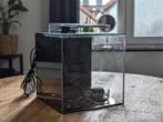 EcoQube - aquarium/aquarium de bureau, Enlèvement, Neuf, Aquarium vide