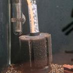 Filtre éponge pré-cyclé | modèle xy-180, Enlèvement, Utilisé, Filtre ou CO2