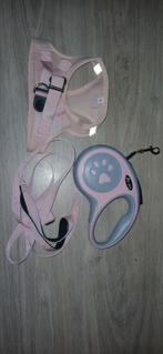 Katten/honden harnas + riem, Ophalen, Zo goed als nieuw