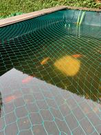 Noir, rouge, blanc,orange, Enlèvement, Utilisé, Autres types