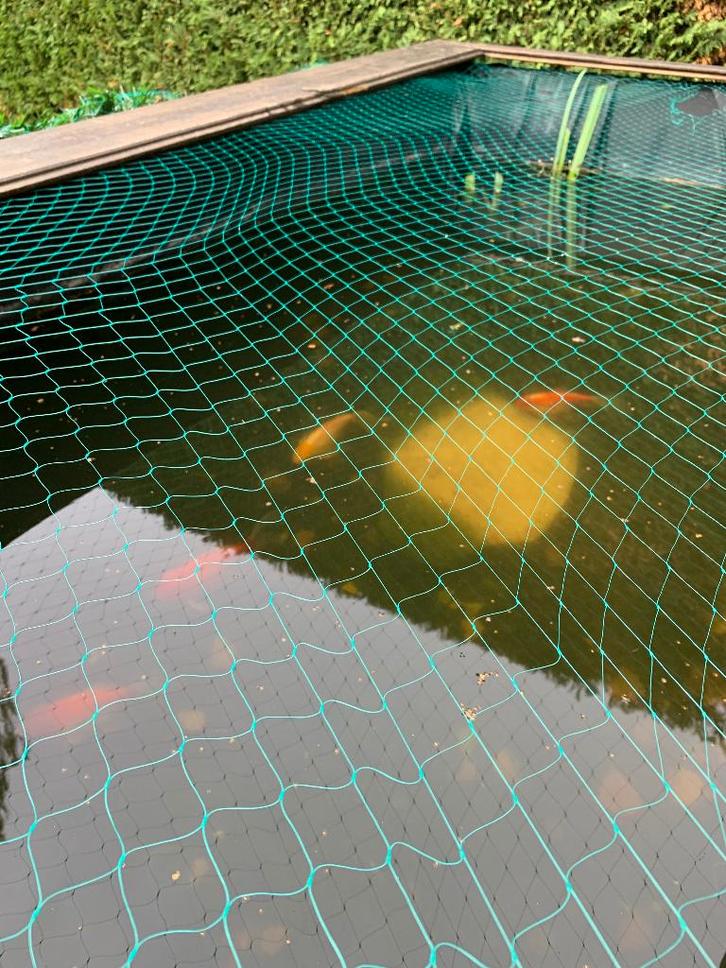 Noir, rouge, blanc,orange, Animaux & Accessoires, Poissons | Aquariums & Accessoires, Utilisé, Autres types, Enlèvement