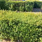 Alle tuinwerken, Tuin en Terras, Ophalen