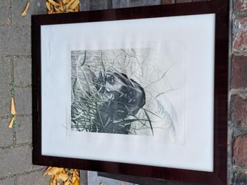 Gravure signe leon danchin  beschikbaar voor biedingen