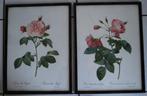 2 Litho's : rozen van P.J. Redouté - ingekaderd, Ophalen of Verzenden