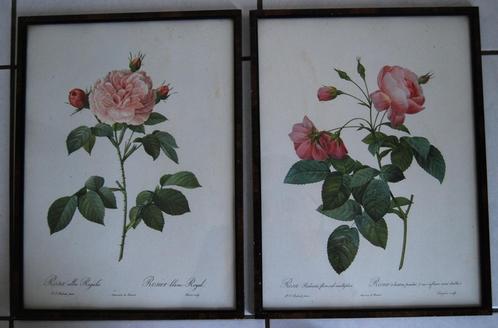2 Litho's : rozen van P.J. Redouté - ingekaderd, Antiek en Kunst, Kunst | Etsen en Gravures, Ophalen of Verzenden