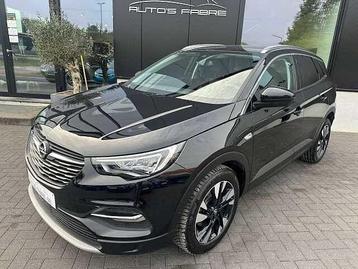 Opel Grandland X 1.2 Turbo Leder Navi Xenon 45000km beschikbaar voor biedingen