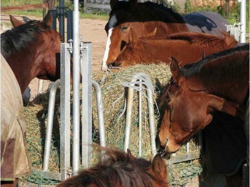 Hooiruif, Voerruif, Ruif, Ruiven, Hooiruiven, Voeren, Dieren en Toebehoren, Stalling en Weidegang