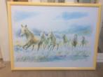 Mooie kader met paarden, Huis en Inrichting, Ophalen of Verzenden, Zo goed als nieuw