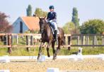 Lesgever en ruiter aangeboden, Animaux & Accessoires, Poneys, Ne s'applique pas