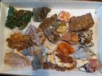 Doosje met 20 mineralen - leuke varia, Ophalen of Verzenden, Mineraal