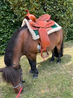 Westernzadel te koop, Ophalen