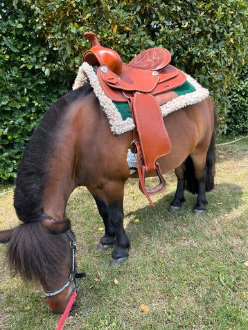 Westernzadel te koop beschikbaar voor biedingen