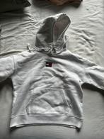 Korte hoodie Timmy Hilfigger wit maat small, Vêtements | Femmes, Pulls & Gilets, Comme neuf, Enlèvement ou Envoi