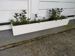 2 bacs jardinière, Tuin en Terras, Bloembakken en Plantenbakken, Ophalen, Zo goed als nieuw