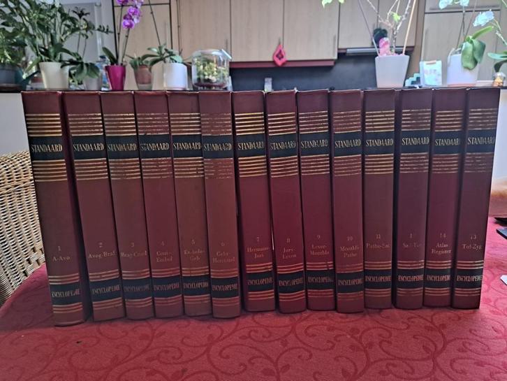 Standaard encyclopedie 14 delen, Boeken, Encyclopedieën, Zo goed als nieuw, Complete serie, Algemeen, Ophalen