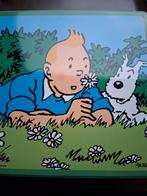 Blikken doos Kuifje Delacre, Verzamelen, Blikken, Ophalen of Verzenden