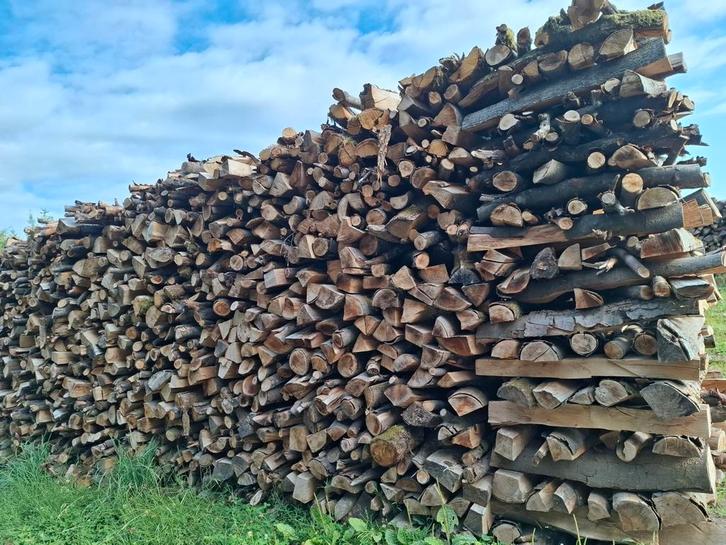 A vendre bois de chauffage, Jardin & Terrasse, Bois de chauffage, Hêtre