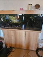 Juwel 240L aquarium met onderkast, Dieren en Toebehoren, Ophalen of Verzenden, Gebruikt, Gevuld zoetwateraquarium