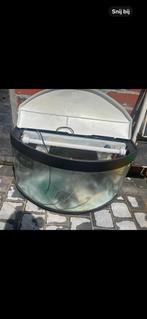 aquarium, Dieren en Toebehoren, Ophalen, Gebruikt