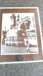 AALST - Ros Balatum   - 1957, Ophalen, Foto