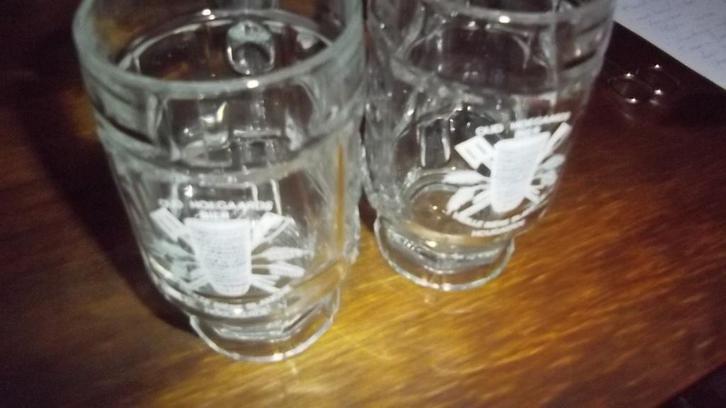 Bière Oud-Hoegaards - 2 pots à bière, Collections, Marques de bière, Comme neuf, Verre ou Verres, Enlèvement ou Envoi