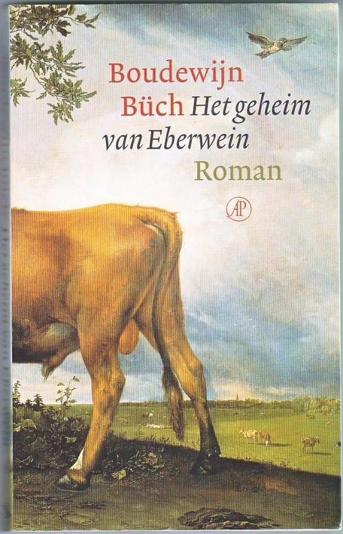Het geheim van Eberwein (Boudewijn Büch), Boeken, Literatuur, Gelezen, Ophalen of Verzenden