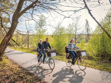Stijlvolle retrotandem! beschikbaar voor biedingen