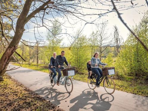 Stijlvolle retrotandem!, Fietsen en Brommers, Fietsen | Tandems, Zo goed als nieuw, Minder dan 10 versnellingen, Ophalen