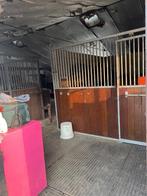 Weide+stal volpension voor jong of oud paard te huur, Dieren en Toebehoren, Stalling en Weidegang, Weidegang