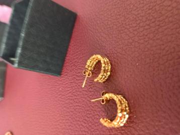 18k verguld rvs hypoallergeen oorbellen  beschikbaar voor biedingen