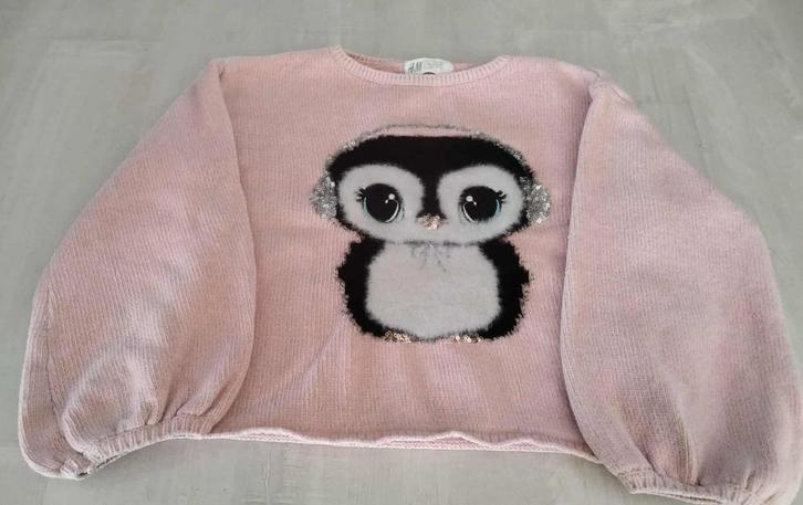 korte roze trui h & m maat 122 - 128, Kinderen en Baby's, Kinderkleding | Maat 122, Gebruikt, Meisje, Trui of Vest, Ophalen of Verzenden
