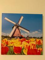 Schilderij "Tulpen", Verzenden, Zo goed als nieuw, Overige typen