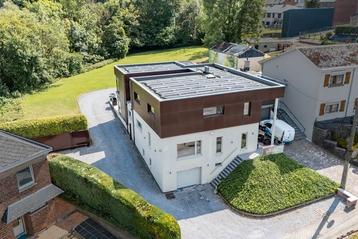 Villa met professionele ruimte 3335 m2 - 504 m2 beschikbaar voor biedingen