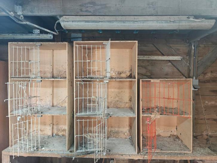 Kweekkasten / kweekbakken / benodigdheden voor duiven, Dieren en Toebehoren, Vogels | Duiven