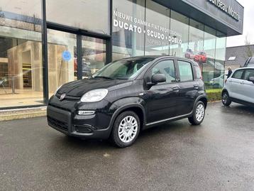 Fiat Panda HYBRIDE S7* UCONNECT* PDC ACHTER* URBAN PACK*  beschikbaar voor biedingen
