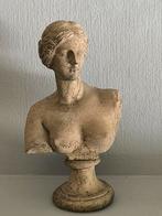 Venus van Milo, buste, Antiek en Kunst, Ophalen of Verzenden