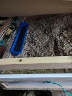 transport kisten duiven , of kweekbak 5€/st