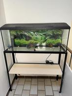 Aquarium 115 liter met tafel, Dieren en Toebehoren, Ophalen, Zo goed als nieuw