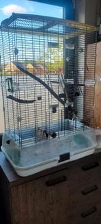 Grande cage vision et accessoires