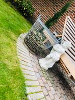 Vintage tuinbeeld engel, Ophalen, Gebruikt, Steen, Engelenbeeld