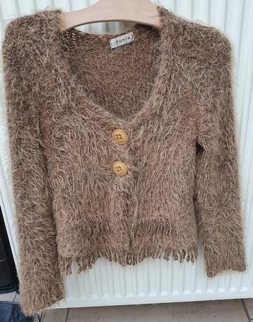 Bruin vestje van Junie Paris maat S beschikbaar voor biedingen