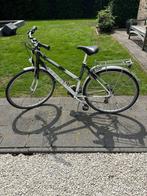 Damesfiets - Norta, Fietsen en Brommers, Fietsen | Dames | Damesfietsen, Gebruikt, 47 tot 50 cm, Versnellingen, Ophalen