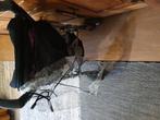 Poucette enfants marque bébé confort., Ophalen, Gebruikt