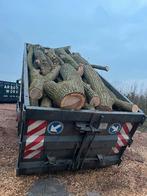 Brandhout eik en beuk, Ophalen, Stammen