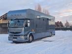 Camion chevaux - horsetrucks - tva deductible, Achat, Entreprise, 2 places, Diesel
