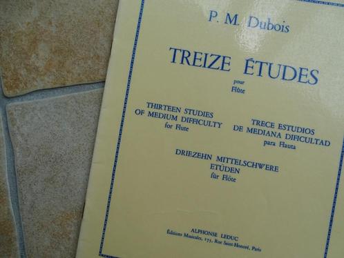 Bladmuziek dwarsfluit etudes/methodes 10 boeken, Musique & Instruments, Partitions, Comme neuf, Autres genres, Classique, Flûte traversière ou Piccolo