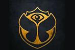 Ticket Tomorrowland 19 juillet 2025, Tickets & Billets